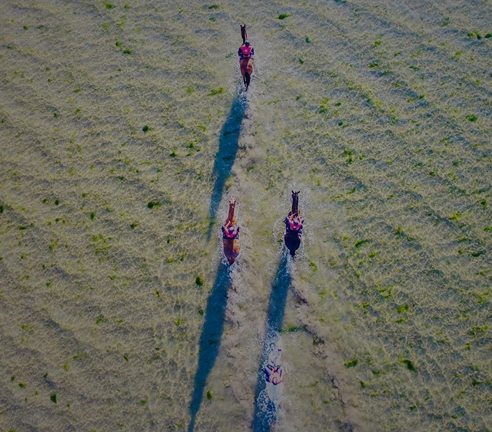 société de drone nantes